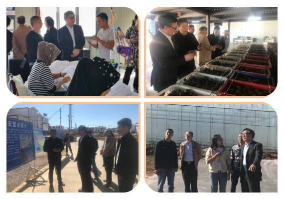 壹定发·(EDF)最新官方网站