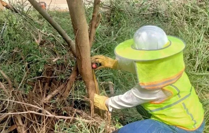 壹定发·(EDF)最新官方网站