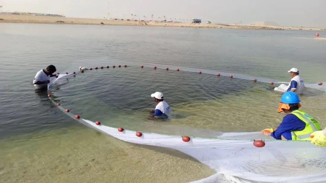 壹定发·(EDF)最新官方网站