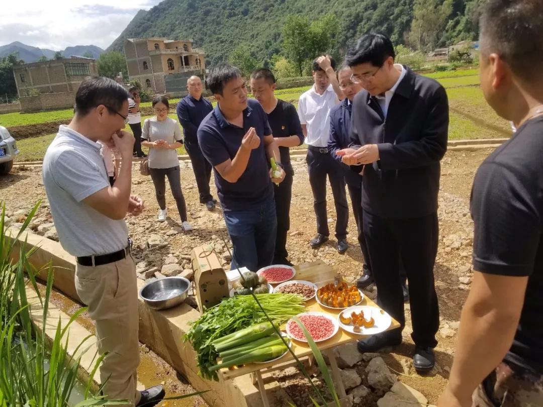 壹定发·(EDF)最新官方网站